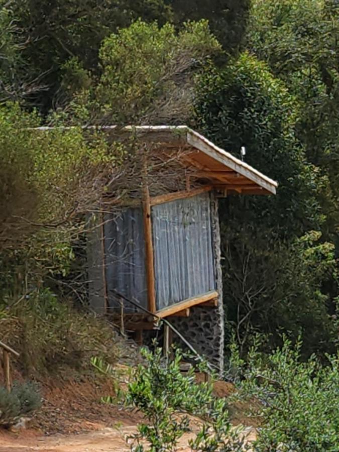 Tiny Houses O Olival - Aluguel Temporada กุนญา ภายนอก รูปภาพ